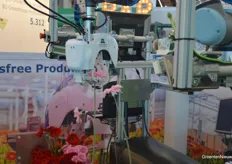 Gerbera’s oogsten met een robot bij Wageningen University & Research